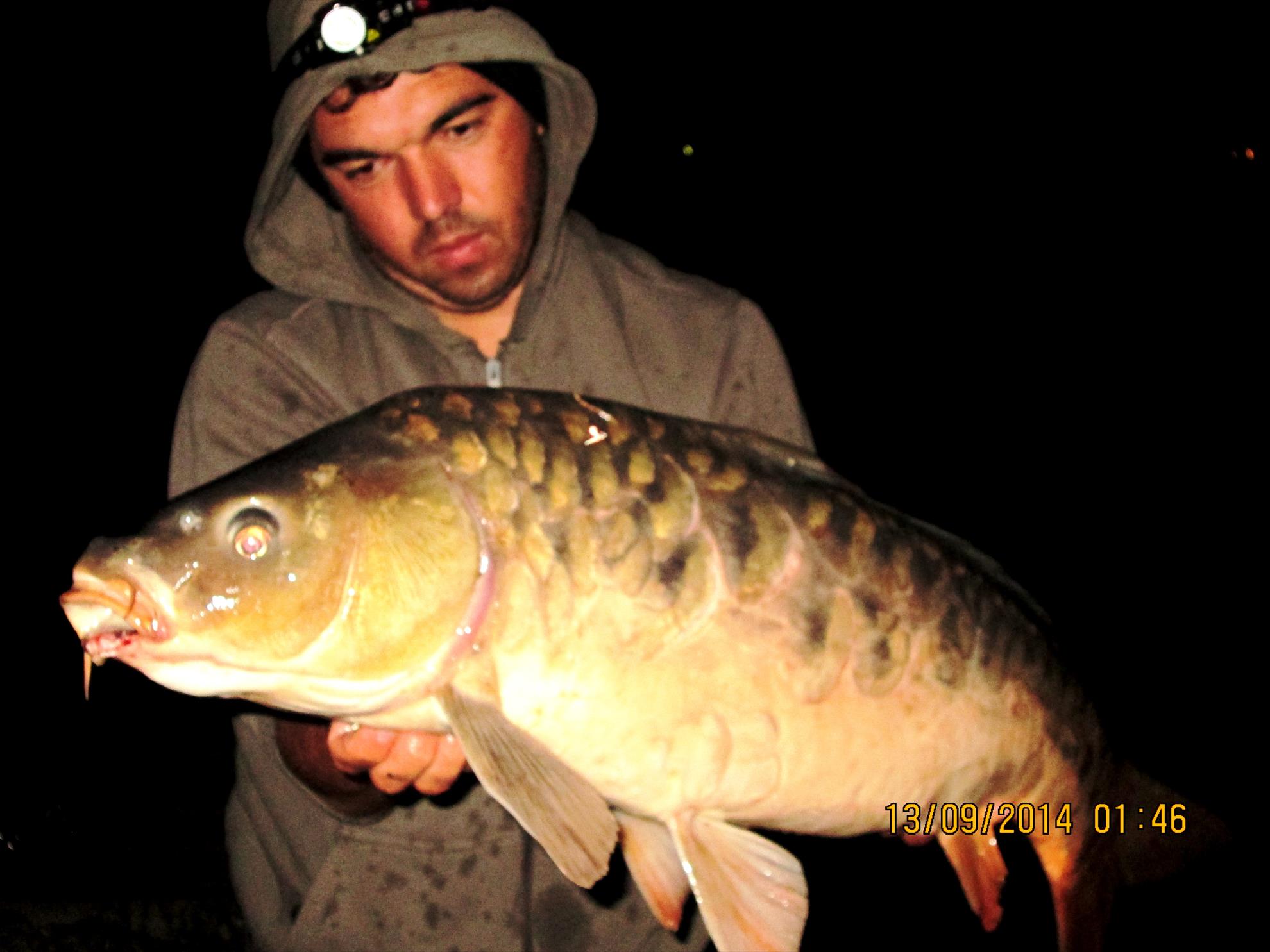 Hermes Peris 12 - 13 septembrie 2014 - img2737.JPG